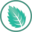Mintsoft logo
